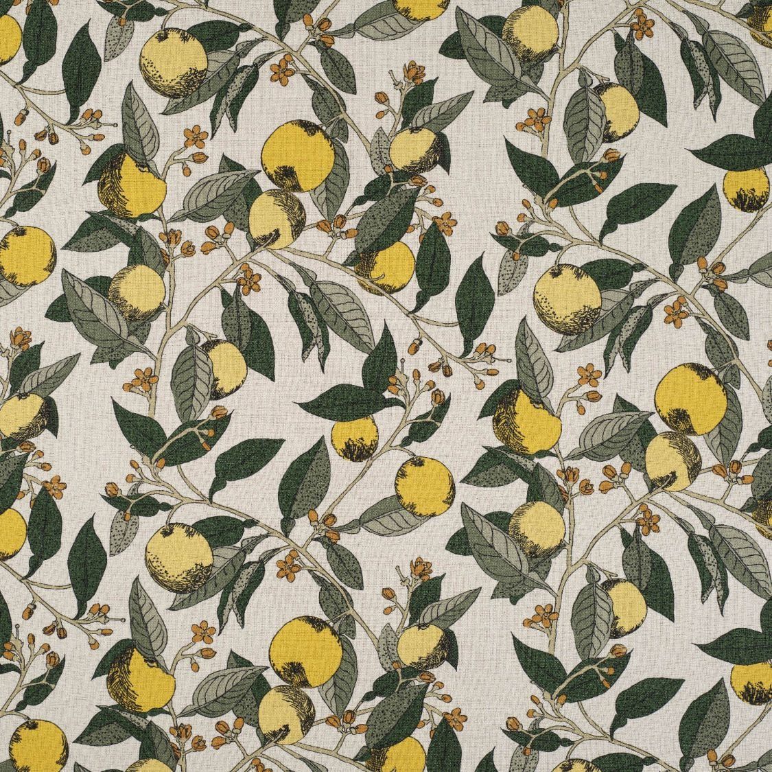 Ткань James Hare Orangery 8341